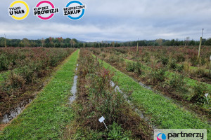 Działka na sprzedaż 50000m2 wejherowski Łęczyce - zdjęcie 3