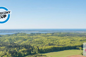 Działka na sprzedaż 37246m2 pucki Krokowa Sobieńczyce - zdjęcie 4