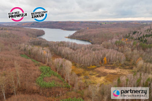 Działka na sprzedaż 21600m2 gdański Przywidz Miłowo - zdjęcie 1