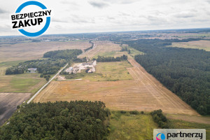 Działka na sprzedaż 141376m2 tczewski Pelplin - zdjęcie 3