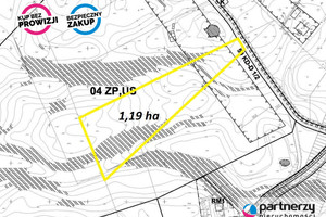 Działka na sprzedaż 11939m2 Gdynia Dąbrowa Łanowa - zdjęcie 3