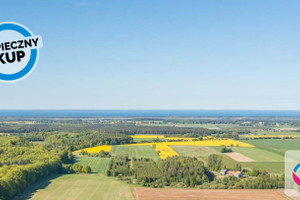 Działka na sprzedaż 37246m2 pucki Krokowa Sobieńczyce - zdjęcie 3