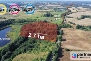 Działka na sprzedaż 27539m2 szczycieński Pasym - zdjęcie 2