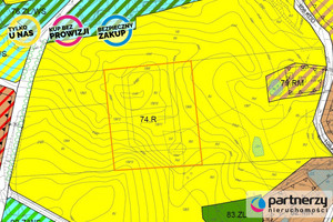 Działka na sprzedaż 18000m2 gdański Kolbudy Buszkowy Strumykowa - zdjęcie 3