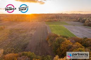 Działka na sprzedaż 5800m2 gdański Kolbudy Buszkowy - zdjęcie 2