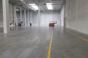 Komercyjne do wynajęcia 2800m2 Gliwice - zdjęcie 4