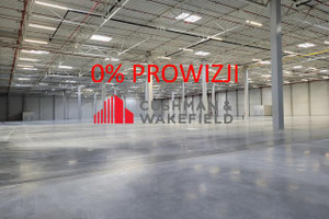 Komercyjne do wynajęcia 10000m2 Elbląg - zdjęcie 1