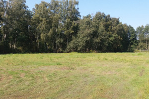 Działka na sprzedaż 3000m2 grodziski Jaktorów - zdjęcie 1