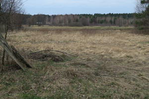 Działka na sprzedaż żyrardowski Wiskitki Jesionka - zdjęcie 2