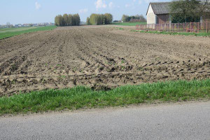 Działka na sprzedaż 27800m2 radomski Wierzbica Błędowska - zdjęcie 2