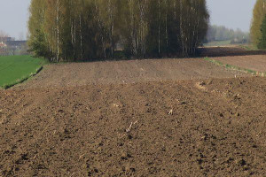 Działka na sprzedaż 27800m2 radomski Wierzbica Błędowska - zdjęcie 1