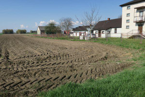 Działka na sprzedaż 27800m2 radomski Wierzbica Błędowska - zdjęcie 3