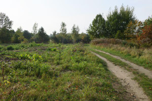 Działka na sprzedaż 1721m2 radomski Zakrzew Bielicha Chabrowa - zdjęcie 2