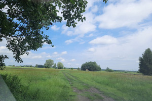 Działka na sprzedaż 3000m2 warszawski zachodni Kampinos Wola Pasikońska - zdjęcie 1