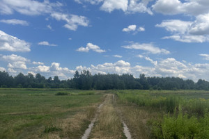 Działka na sprzedaż 3835m2 warszawski zachodni Stare Babice Zalesie - zdjęcie 3