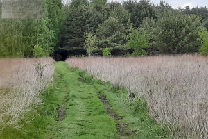 Działka na sprzedaż 1400m2 warszawski zachodni Stare Babice Wojcieszyn - zdjęcie 2