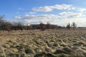 Działka na sprzedaż 13205m2 warszawski zachodni Kampinos Strojec - zdjęcie 1