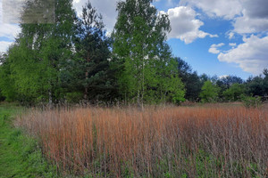 Działka na sprzedaż 1400m2 warszawski zachodni Stare Babice Wojcieszyn - zdjęcie 1