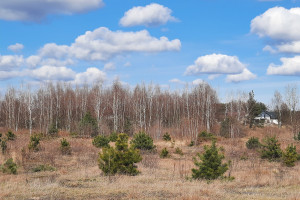 Działka na sprzedaż 1500m2 warszawski zachodni Leszno Powązki - zdjęcie 1