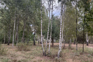 Działka na sprzedaż 1104m2 warszawski zachodni Stare Babice Borzęcin Mały - zdjęcie 1