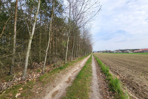 Działka na sprzedaż 1100m2 warszawski zachodni Kampinos Stare Gnatowice - zdjęcie 1