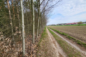 Działka na sprzedaż 1100m2 warszawski zachodni Kampinos Stare Gnatowice - zdjęcie 2