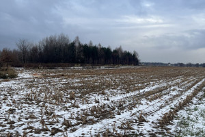 Działka na sprzedaż warszawski zachodni Leszno Feliksów Graniczna - zdjęcie 2