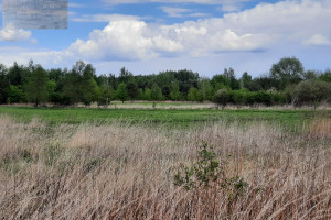 Działka na sprzedaż 1400m2 warszawski zachodni Stare Babice Wojcieszyn - zdjęcie 3