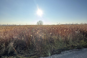 Działka na sprzedaż 828m2 warszawski zachodni Stare Babice Borzęcin Duży - zdjęcie 2