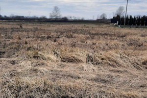 Działka na sprzedaż 3000m2 warszawski zachodni Stare Babice Topolin - zdjęcie 3