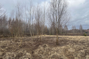 Działka na sprzedaż 2000m2 warszawski zachodni Stare Babice Borzęcin Duży - zdjęcie 1