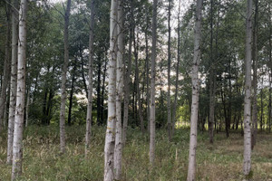 Działka na sprzedaż 1104m2 warszawski zachodni Stare Babice Borzęcin Mały - zdjęcie 3