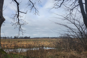 Działka na sprzedaż 1084m2 warszawski zachodni Kampinos Podkampinos - zdjęcie 3