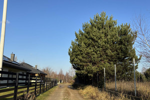 Działka na sprzedaż 2000m2 warszawski zachodni Stare Babice Borzęcin Duży Trakt Królewski - zdjęcie 3