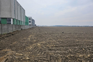 Działka na sprzedaż 2000m2 warszawski zachodni Stare Babice Blizne Łaszczyńskiego - zdjęcie 3