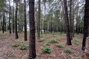 Działka na sprzedaż 1657m2 piaseczyński Konstancin-Jeziorna - zdjęcie 2