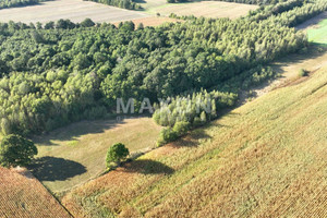 Działka na sprzedaż 20639m2 siedlecki Przesmyki Wólka Łysowska - zdjęcie 2