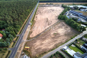 Działka na sprzedaż 73969m2 kaliski Ceków-Kolonia Podzborów - zdjęcie 3