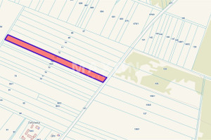 Działka na sprzedaż 7290m2 węgrowski Sadowne Kolonia Złotki - zdjęcie 2