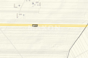 Działka na sprzedaż 9469m2 węgrowski Sadowne Kolonia Złotki - zdjęcie 2