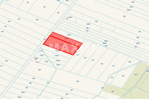 Działka na sprzedaż 9597m2 węgrowski Sadowne Kolonia Złotki - zdjęcie 2