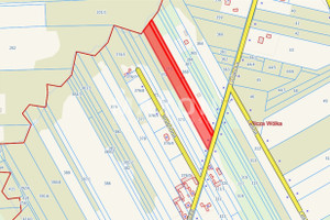 Działka na sprzedaż 8400m2 piaseczyński Prażmów Wilcza Wólka - zdjęcie 3