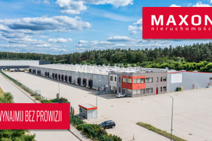 Komercyjne do wynajęcia 12000m2 słubicki Słubice ul. Logistyczna - zdjęcie 1