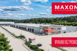 Komercyjne do wynajęcia 12000m2 słubicki Słubice ul. Logistyczna - zdjęcie 1