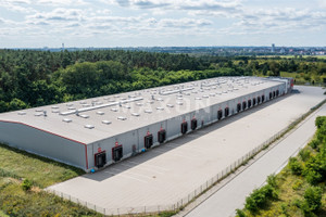 Komercyjne do wynajęcia 12000m2 słubicki Słubice ul. Logistyczna - zdjęcie 2