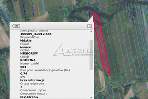 Działka na sprzedaż 7400m2 łowicki Nieborów Kompina - zdjęcie 1