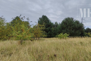 Działka na sprzedaż goleniowski Goleniów Rurzyca - zdjęcie 2