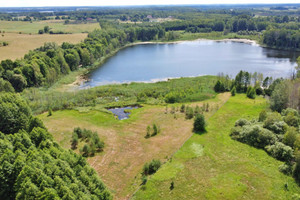 Działka na sprzedaż 10700m2 szczycieński Pasym Elganowo - zdjęcie 1