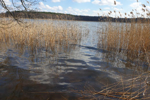 Działka na sprzedaż 7000m2 szczycieński Szczytno Jęcznik - zdjęcie 1