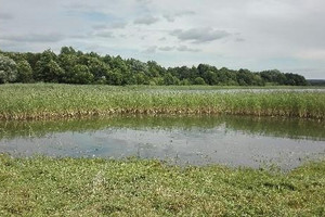 Działka na sprzedaż 11106m2 olsztyński Jeziorany Pierwągi - zdjęcie 1